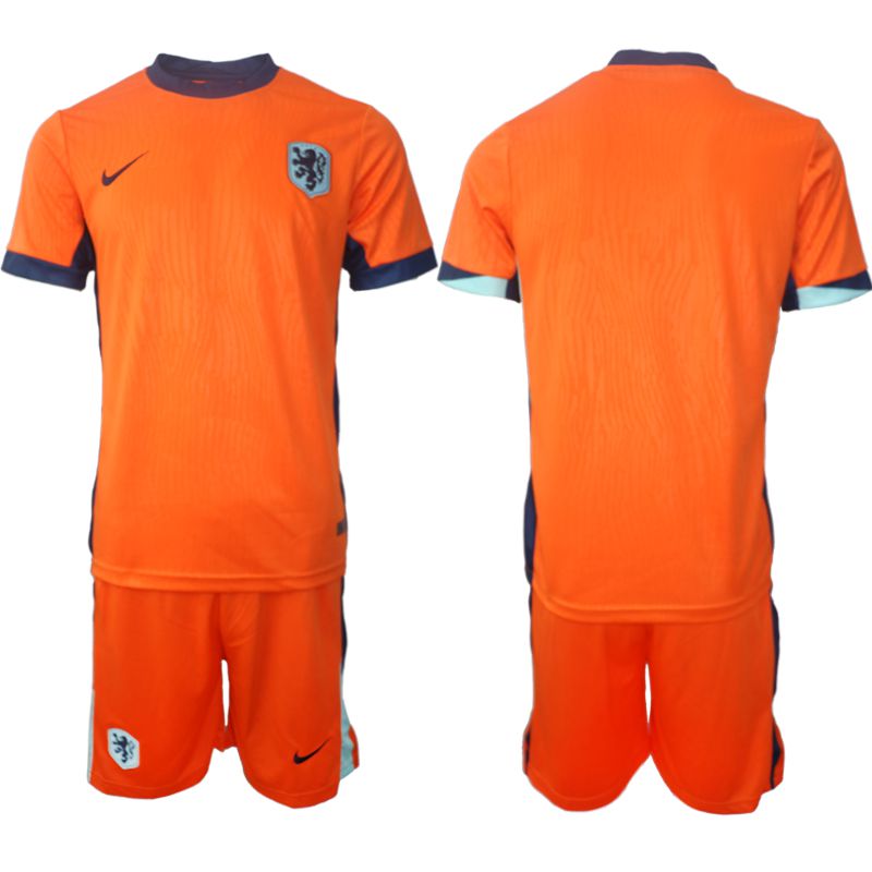 Men 2024-2025 Season Netherlands(Holland) home orange blank Soccer Jersey->spain jersey->Soccer Country Jersey